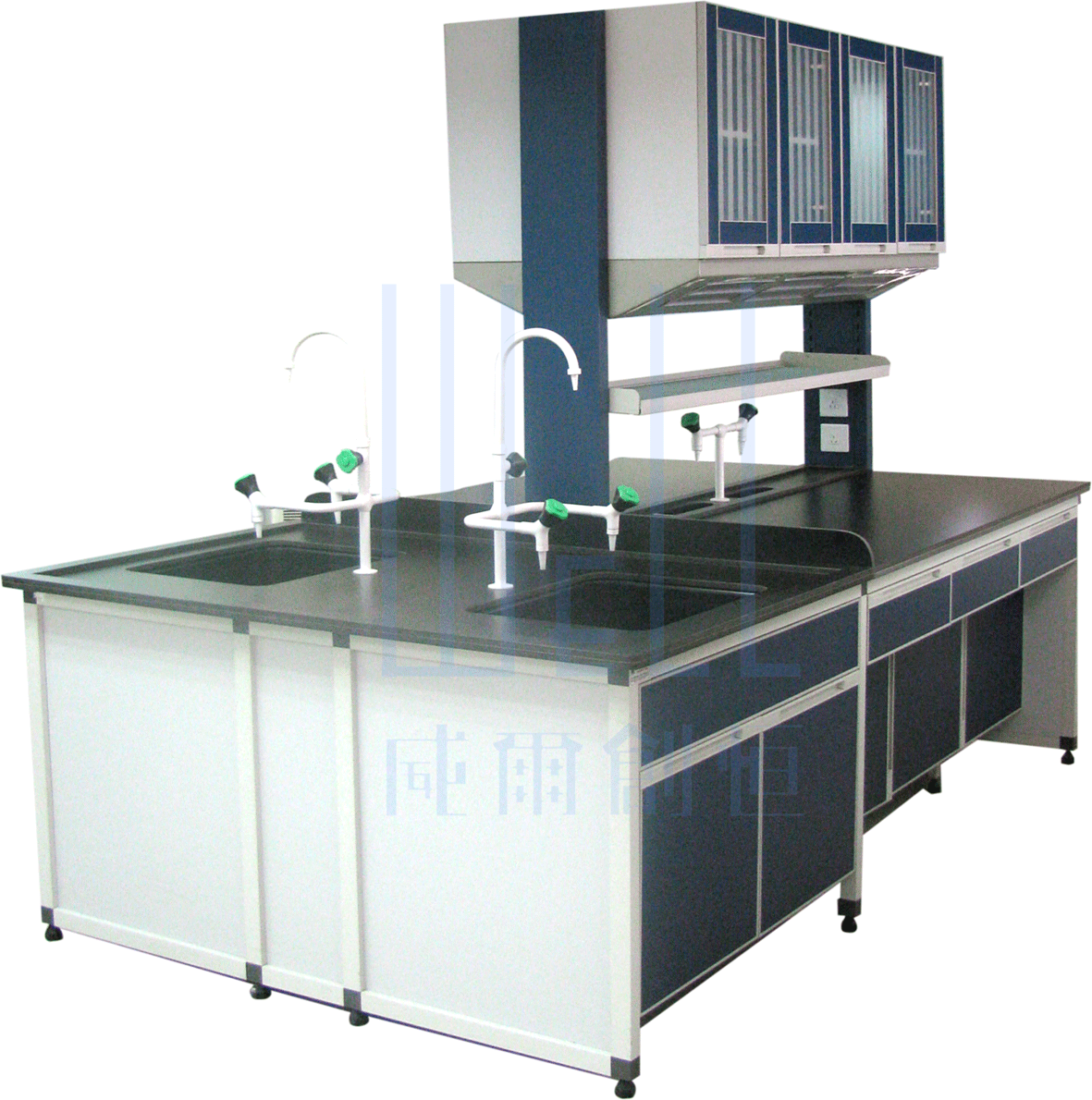 �Xľ�����_(t��i)