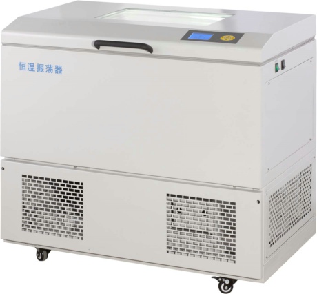 �����ʎ��