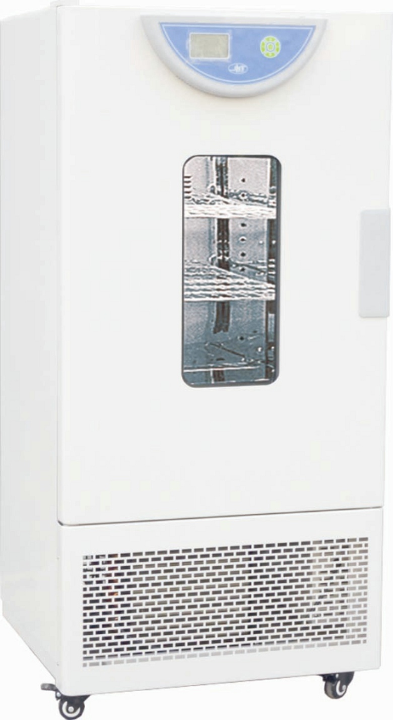 �������B(y��ng)��​