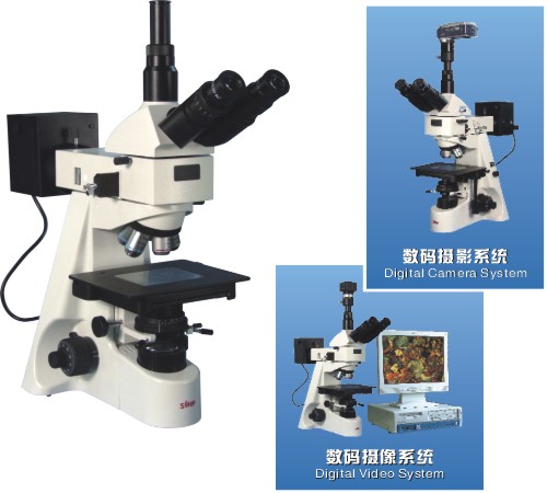 �����@΢�R