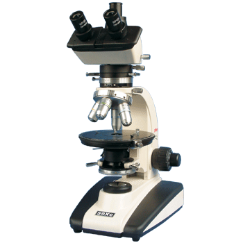 ƫ���@΢�R​